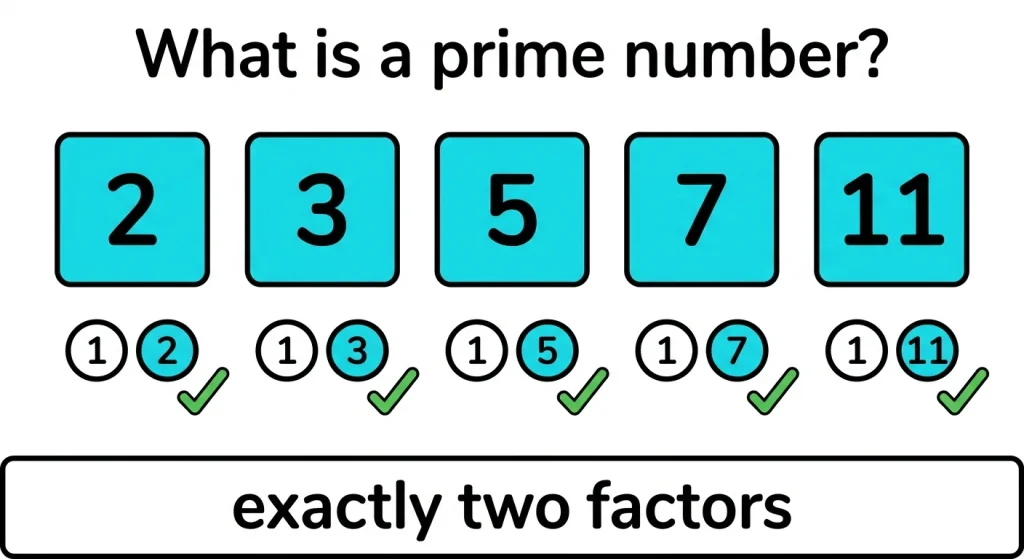 What is a prime number, showing 2, 3, 5, 7 and 11 each with exactly two factors